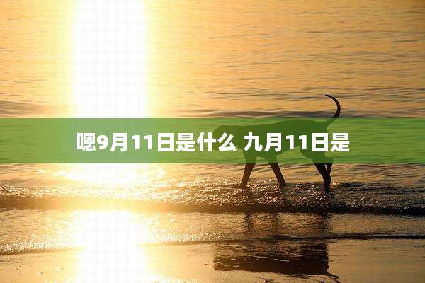 嗯9月11日是什么 九月11日是