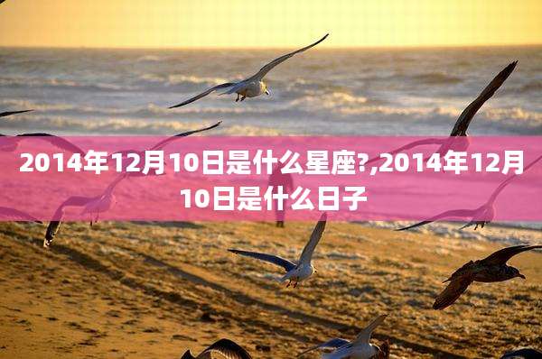 2014年12月10日是什么星座?,2014年12月10日是什么日子