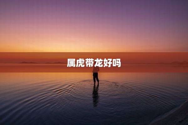 属虎带龙好吗