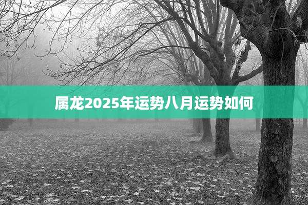 属龙2025年运势八月运势如何