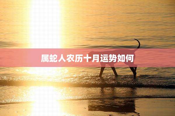 属蛇人农历十月运势如何