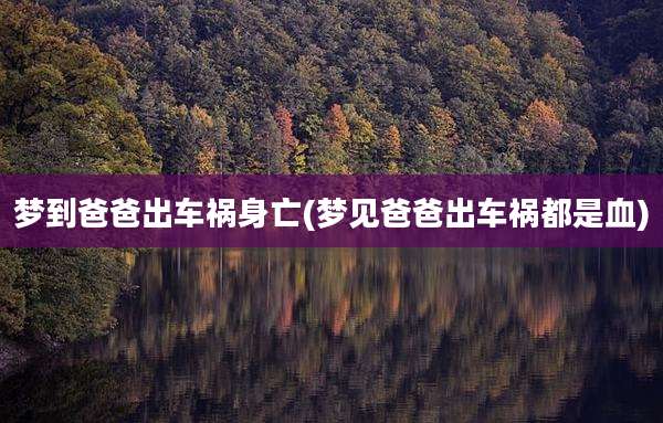梦到爸爸出车祸身亡(梦见爸爸出车祸都是血)