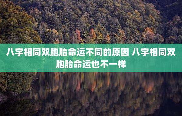 八字相同双胞胎命运不同的原因 八字相同双胞胎命运也不一样