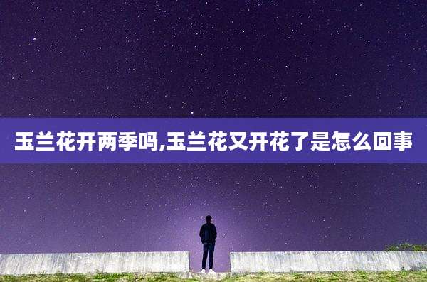 玉兰花开两季吗,玉兰花又开花了是怎么回事