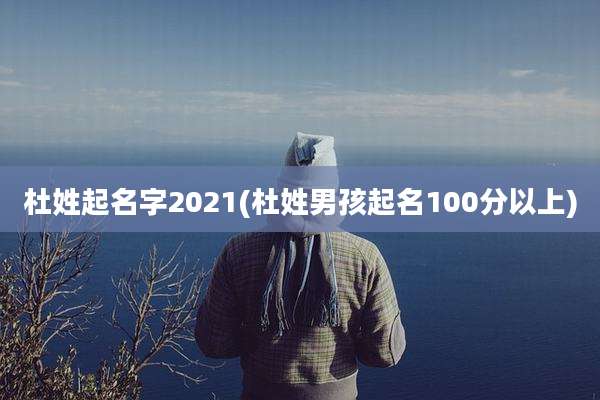 杜姓起名字2021(杜姓男孩起名100分以上)