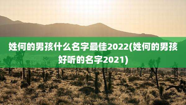 姓何的男孩什么名字最佳2022(姓何的男孩好听的名字2021)