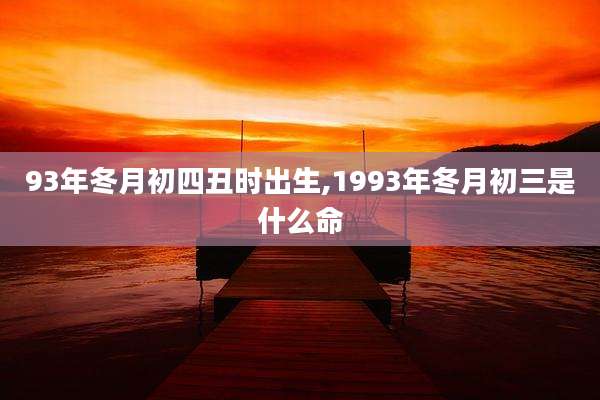 93年冬月初四丑时出生,1993年冬月初三是什么命