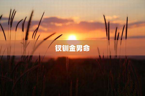 钗钏金男命