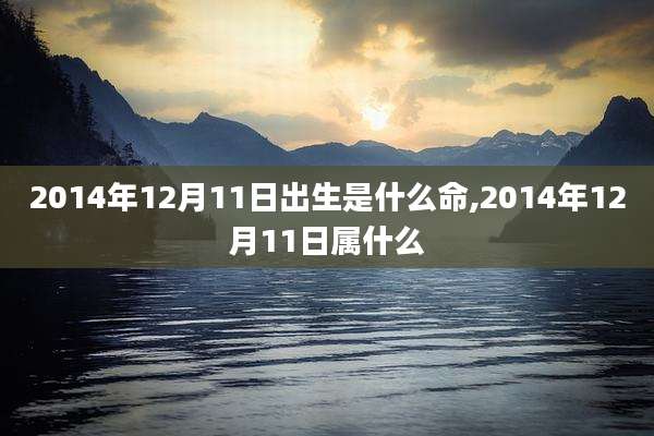 2014年12月11日出生是什么命,2014年12月11日属什么