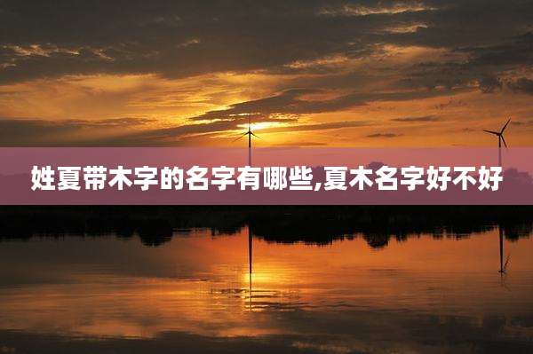 姓夏带木字的名字有哪些,夏木名字好不好