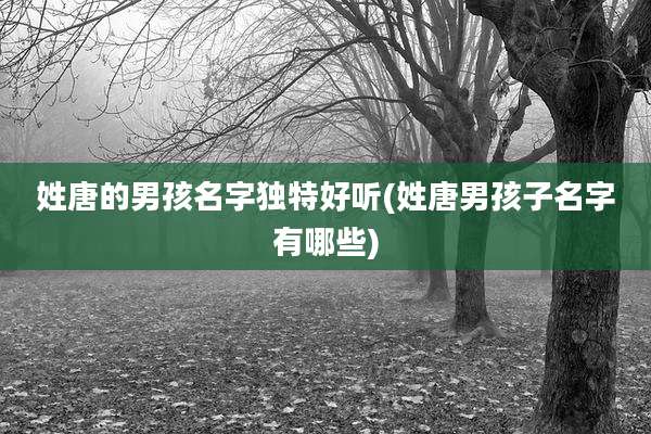 姓唐的男孩名字独特好听(姓唐男孩子名字有哪些)