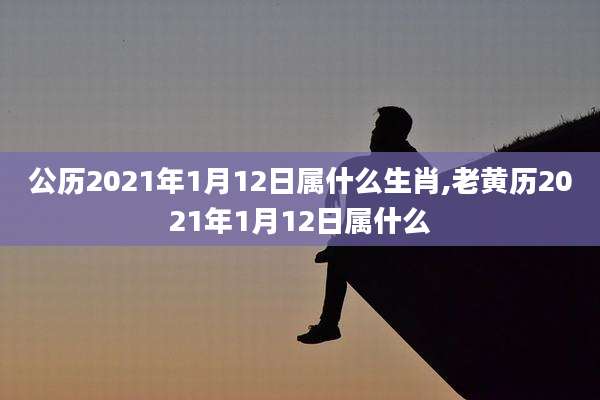 公历2021年1月12日属什么生肖,老黄历2021年1月12日属什么