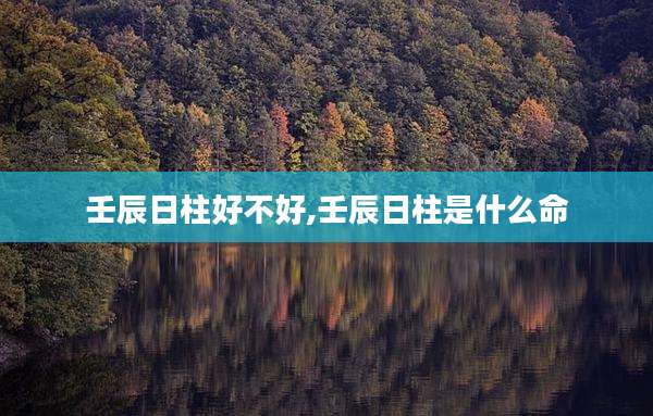壬辰日柱好不好,壬辰日柱是什么命