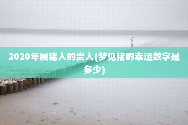 2020年属猪人的贵人(梦见猪的幸运数字是多少)