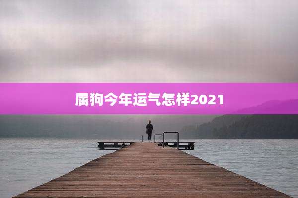 属狗今年运气怎样2021