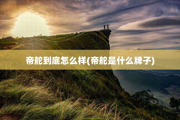 帝舵到底怎么样(帝舵是什么牌子)