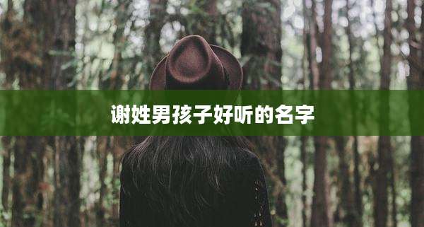 谢姓男孩子好听的名字