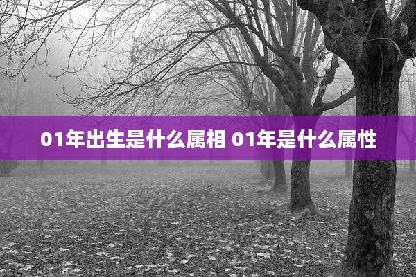 01年出生是什么属相 01年是什么属性