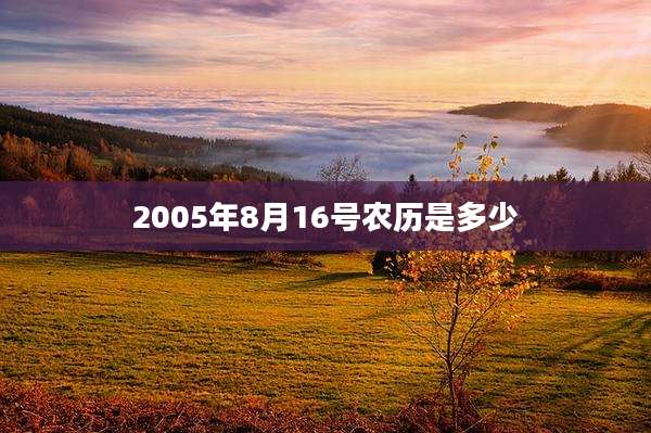 2005年8月16号农历是多少