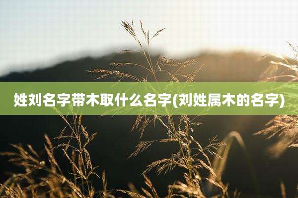 姓刘名字带木取什么名字(刘姓属木的名字)