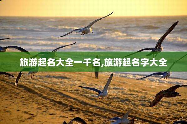 旅游起名大全一千名,旅游起名字大全