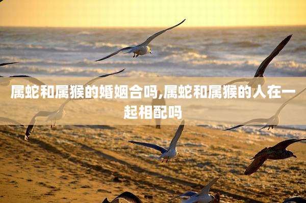 属蛇和属猴的婚姻合吗,属蛇和属猴的人在一起相配吗