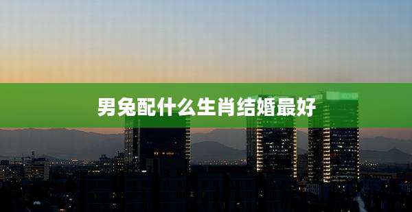 男兔配什么生肖结婚最好