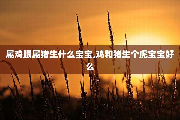 属鸡跟属猪生什么宝宝,鸡和猪生个虎宝宝好么