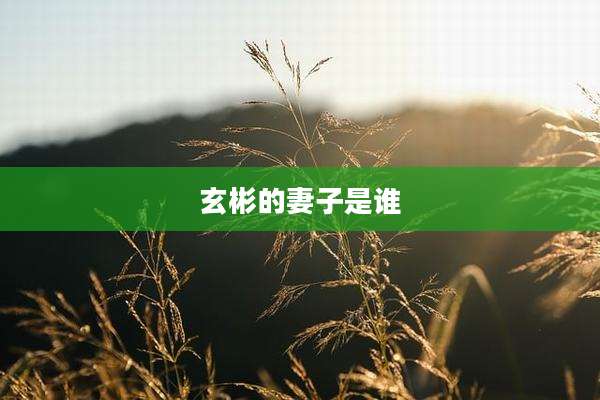 玄彬的妻子是谁