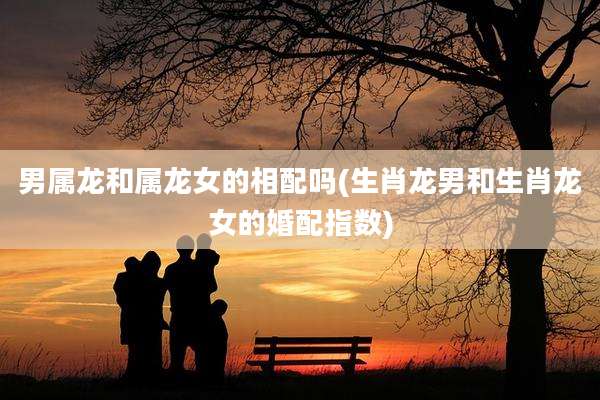 男属龙和属龙女的相配吗(生肖龙男和生肖龙女的婚配指数)