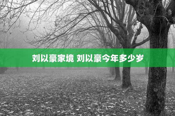 刘以豪家境 刘以豪今年多少岁