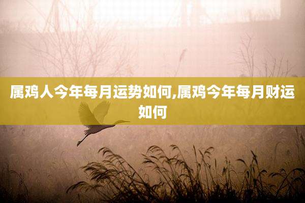 属鸡人今年每月运势如何,属鸡今年每月财运如何
