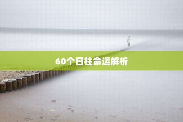60个日柱命运解析