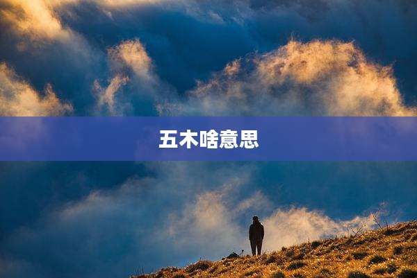 五木啥意思