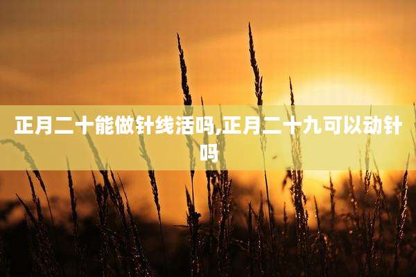 正月二十能做针线活吗,正月二十九可以动针吗