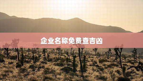 企业名称免费查吉凶