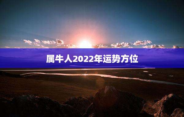 属牛人2022年运势方位