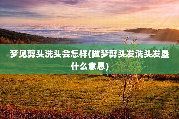梦见剪头洗头会怎样(做梦剪头发洗头发垦什么意思)