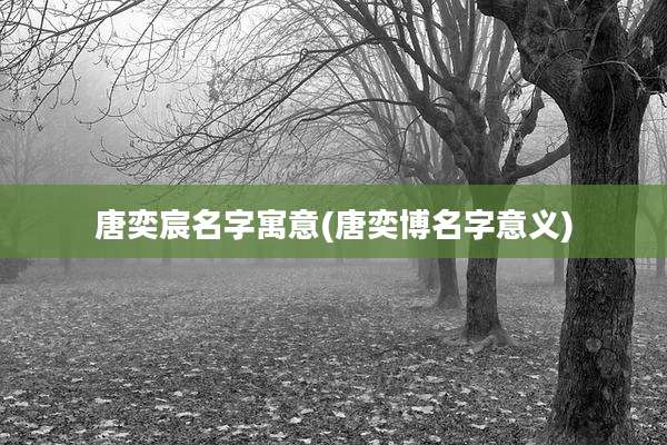 唐奕宸名字寓意(唐奕博名字意义)