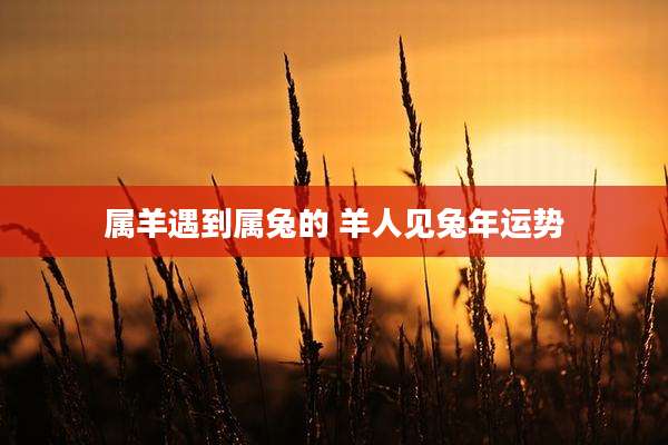 属羊遇到属兔的 羊人见兔年运势