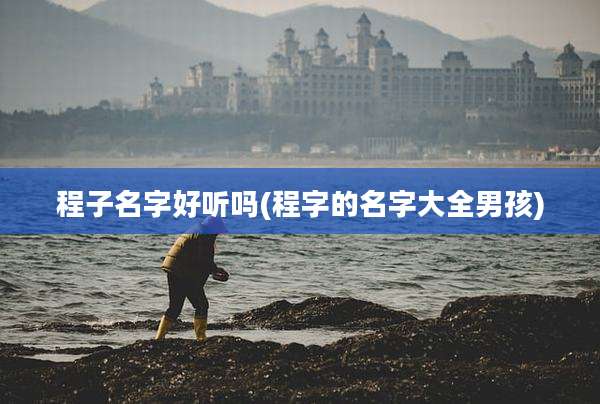 程子名字好听吗(程字的名字大全男孩)