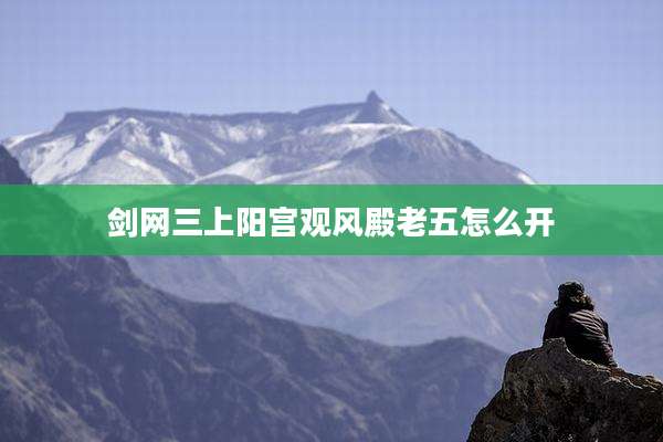 剑网三上阳宫观风殿老五怎么开