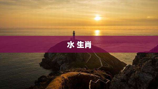 水 生肖