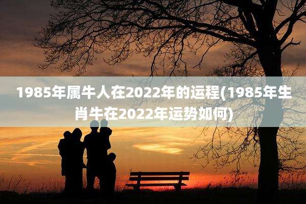 1985年属牛人在2022年的运程(1985年生肖牛在2022年运势如何)