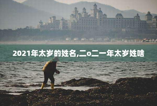 2021年太岁的姓名,二o二一年太岁姓啥