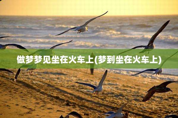做梦梦见坐在火车上(梦到坐在火车上)