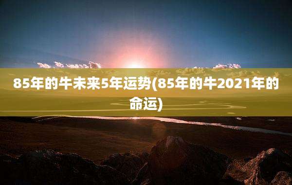 85年的牛未来5年运势(85年的牛2021年的命运)