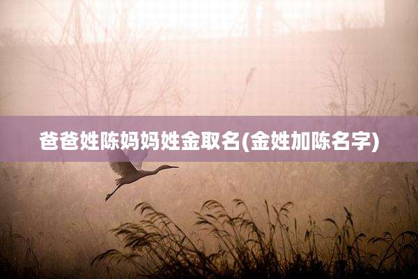 爸爸姓陈妈妈姓金取名(金姓加陈名字)