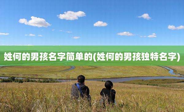 姓何的男孩名字简单的(姓何的男孩独特名字)