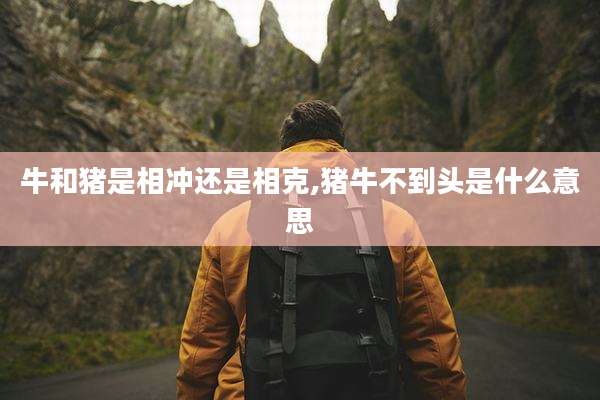 牛和猪是相冲还是相克,猪牛不到头是什么意思